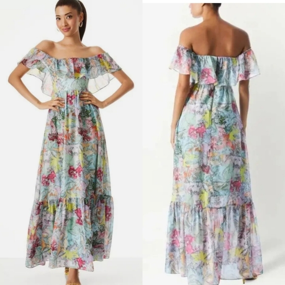 NEW Alice & Olivia x Lola Schnabel | Lola's Dream Colorful Floral Maxi Dress - Picture 4 of 10